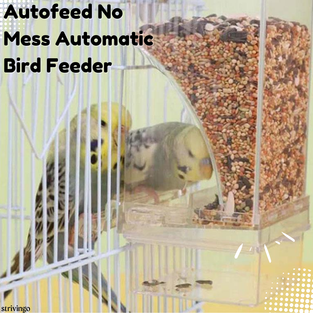 50% OFF | Autofeed No Mess Automatic Bird Feeder