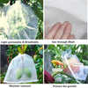 Insect-Proof Mesh Bag for Fruit & Vegetable Protection | Set of 20PCS