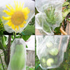 Insect-Proof Mesh Bag for Fruit & Vegetable Protection | Set of 20PCS