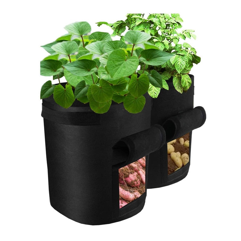 GreenGrove™ Veggie Growing Bag